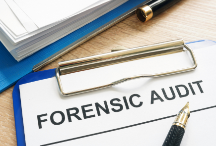 Forensic Audit & Disk Review Services